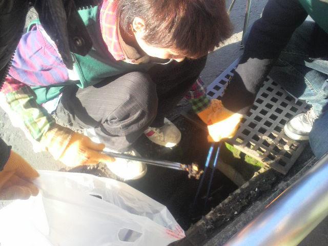 green bird&times;Today+  「トモダチ」１００人できるかな？に参加しました♪画像