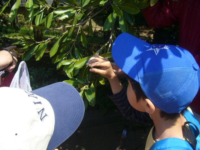 IID GREEN DAY 世田谷公園をおそうじしました！画像