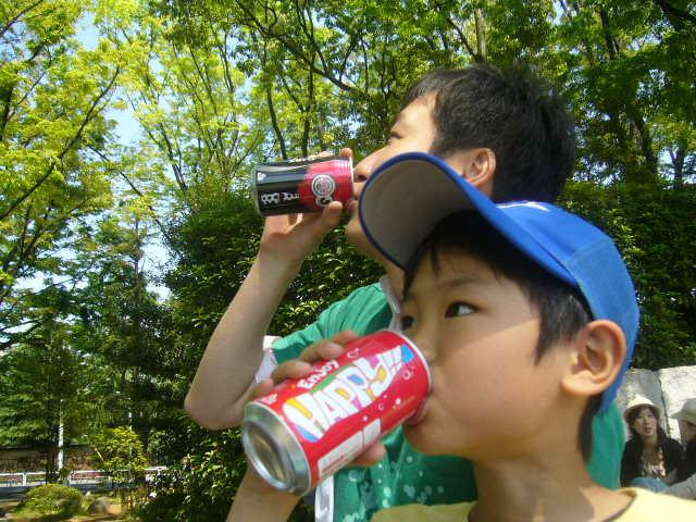 IID GREEN DAY 世田谷公園をおそうじしました！画像