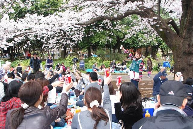 2010 駒沢公園お花見そうじ 今年もやります!!画像