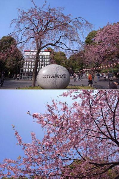 アトレ上野そうじレポート　〜atre MY TOWN PROJECT画像