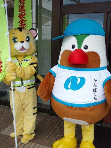 ひらどツーデーウォークとコラボ（１日め）画像