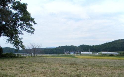 グリーンバード農園がはじまるよ！画像