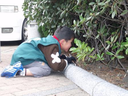 2011おそうじ初め！生月島クリーン大作戦vol．3画像