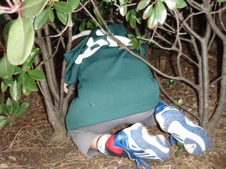 2011おそうじ初め！生月島クリーン大作戦vol．3画像