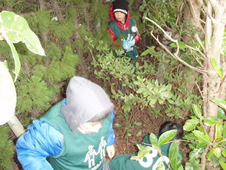 2011おそうじ初め！生月島クリーン大作戦vol．3画像