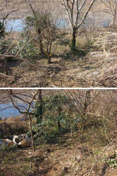 中津川河川敷の不法投棄物撤去活動に参加しました。画像