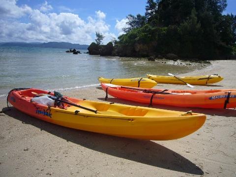 4/23名護ビーチクリーン＆シーカヤック体験画像