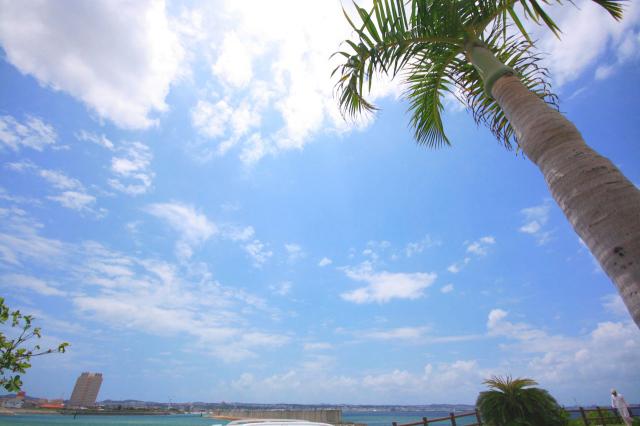 第6回北谷町「海をきれいに！」2011オーシャンサイドクリーン☆6/22画像