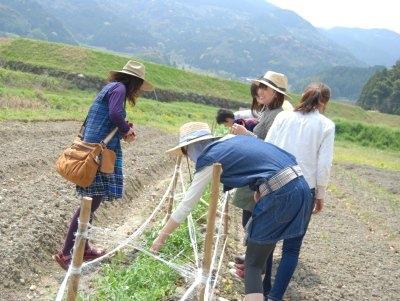 GB農園「グリグリ」　定例活動 vol.９画像