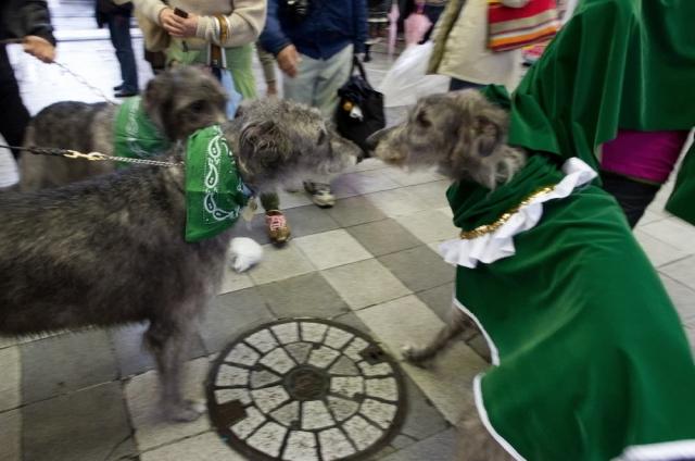 ☆セントパトリックス・デイ・パレード☆NAGOYA画像