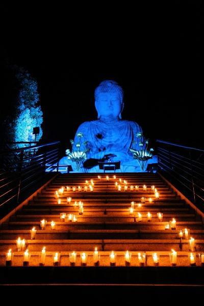 兵庫大仏様も真っ青に!!!画像