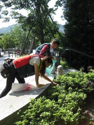 長崎ごみゼロそうじ(5/27)のお知らせ☆画像