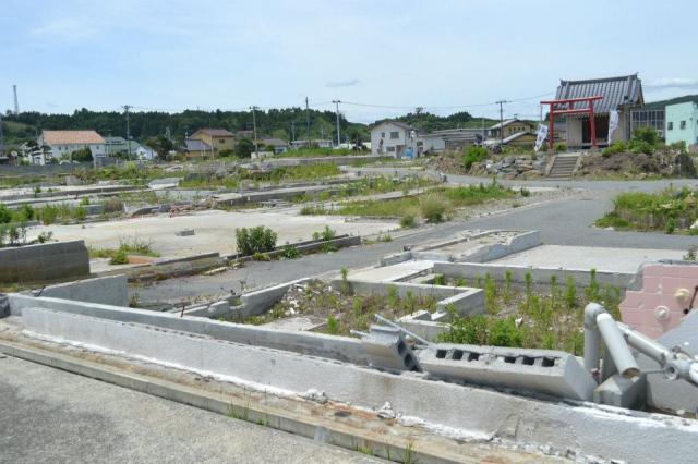 【レポート】6/23 復興支援プロジェクト：いわきオーガニックコットンプロジェクト画像