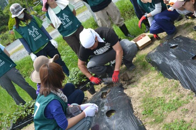 【レポート】6/23 復興支援プロジェクト：いわきオーガニックコットンプロジェクト画像