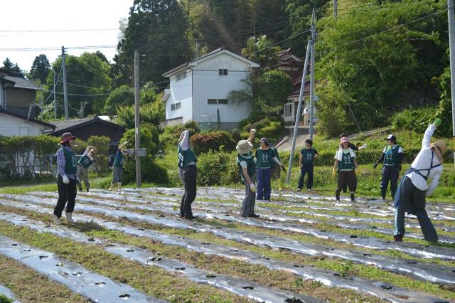 【レポート】6/23 復興支援プロジェクト：いわきオーガニックコットンプロジェクト画像