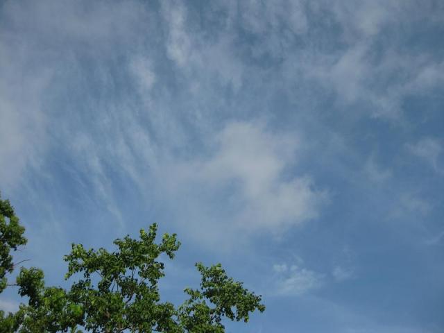 10.28 ながさきエコライフ・フェスタ画像