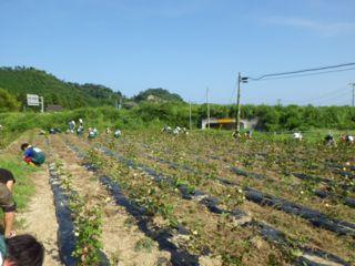 【12/15 受付終了！】今年最後の活動です。いわきオーガニックコットンプロジェクト画像