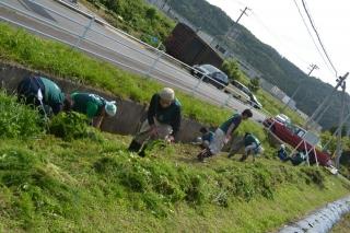 【12/15 受付終了！】今年最後の活動です。いわきオーガニックコットンプロジェクト画像