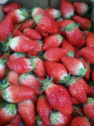 神戸アミュゼコラボそうじ遊び画像