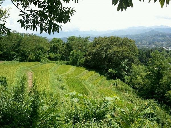 七色百田に行こう！画像