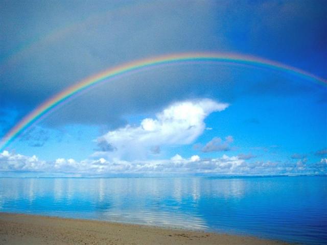 HAPPY RAINBOW MONDAY(JUNE)画像