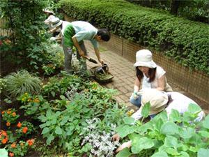 ヒルズガーデニングクラブさんとのコラボそうじ！画像