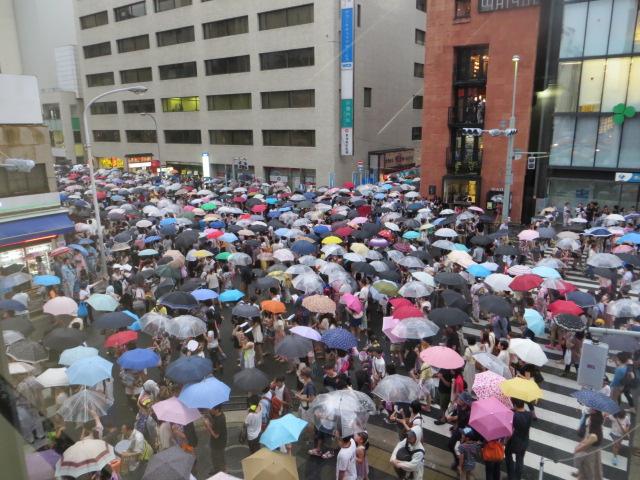 京都　祇園祭　エコツアー画像