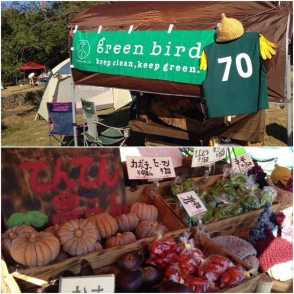 太陽の宴で羽ばたく〜画像