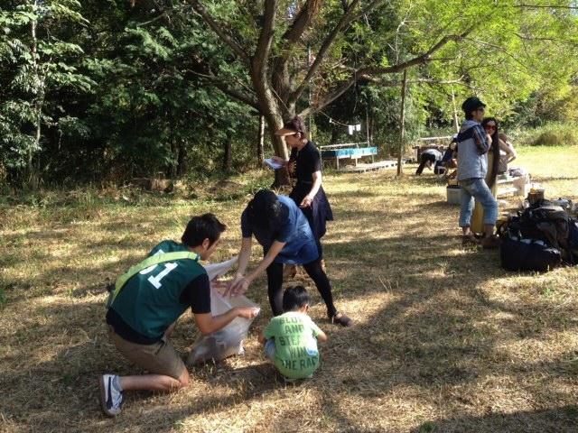 太陽の宴で羽ばたく〜画像
