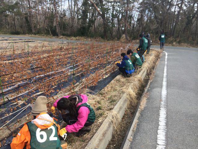 【受付終了】3/23 復興支援活動＆耕作放棄地プロジェクト画像