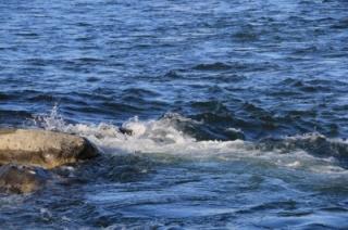 船頭さんと一緒に天竜川をクリーンアップ。画像