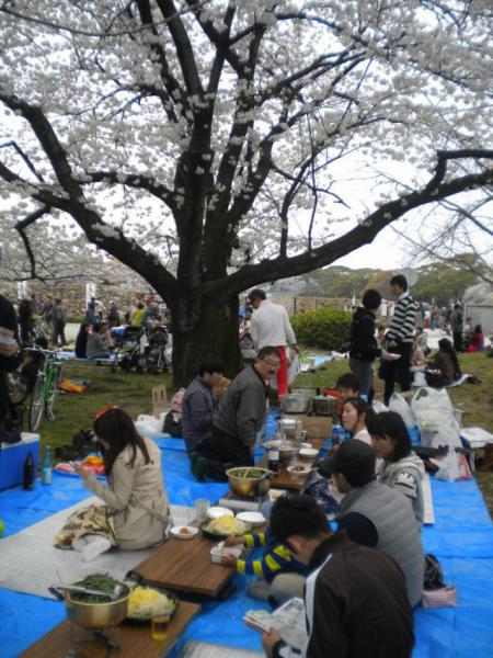 3.23 今年もお花見＆卒業式やります♪画像
