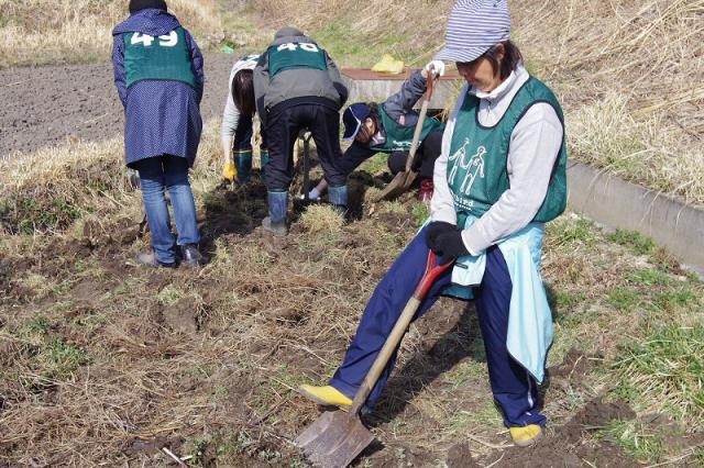 11/8 復興支援活動＆耕作放棄地プロジェクト画像