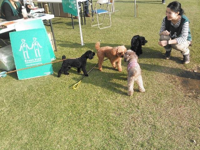 ながさきエコライフフェスタ終了しました♪画像