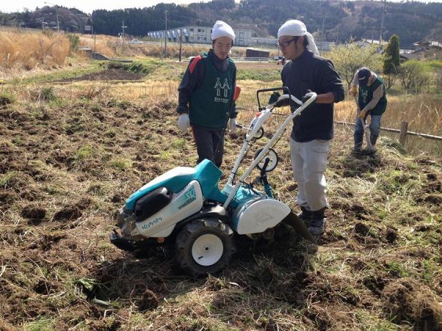 【収穫祭！】12/6 復興支援活動＆耕作放棄地プロジェクト画像