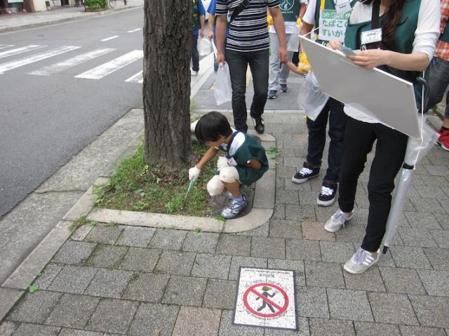 【京都チームイベント】高瀬川 舟まつり 京の町の「ごみ調査隊」がゆく！画像